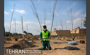 کاشت درخت میثاق در حرم امام خمینی 22