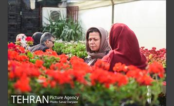 بازار گل شهید محلاتی در آستانه نوروز 12