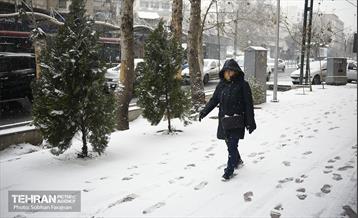 روز برفی تهران 4