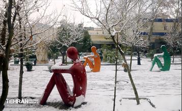 بارش نخستین برف زمستانی در تهران 22
