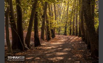 آخرین روزهای پاییزی  20
