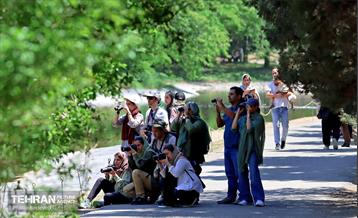 طبیعت بهاری در باغ ملی گیاهشناسی ایران 34