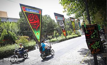 عطر بوی سیب وزیدن گرفت 13