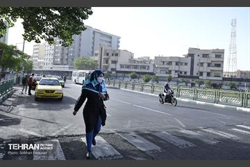 تهران خاکستری 14