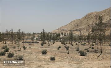 اینجا کارگاهه؛ پروژه بام ری 35