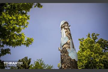 جان دوباره در درختستان 16