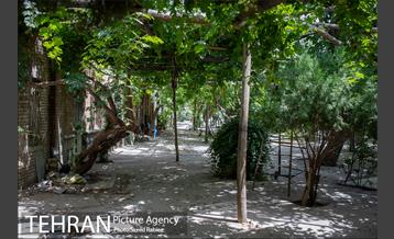 گورستانی به قدمت تاریخ 16