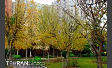 بوستان پارسیان 4