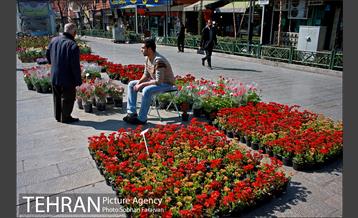 نمایشگاه گل و گیاه نوروزی در پیاده راه ۱۷ شهریور