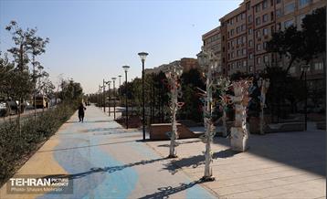 به وقت خدمت؛ باغ‌راه حضرت زهرا(س) محدوده آیت الله سعیدی 65