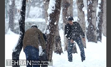 روز برفی پارک شهر 22