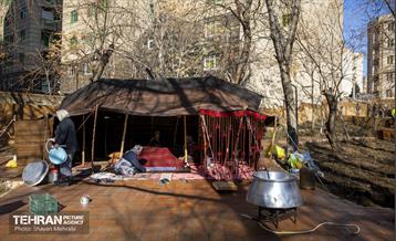 باغ گلاریس 16