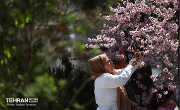 روز طبیعت در بوستان ملت 3