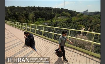پل جدید بوستان آب و آتش 18
