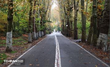 طبیعت پاییزی مجموعه فرهنگی تاریخی سعدآباد  25