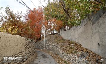 طبیعت پاییزی کوچه باغ‌های محله کن 5