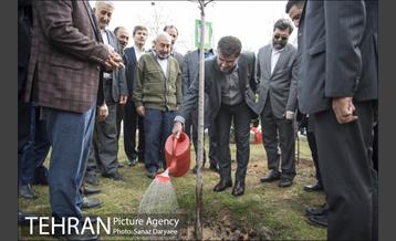 درختکاری و لانه گذاری کبوتر در بوستان بعثت 29