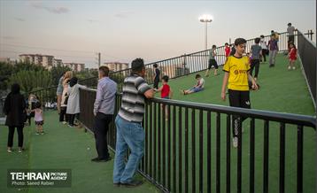 فاز نخست پروژه باغ راه حضرت فاطمه الزهرا(س) 42