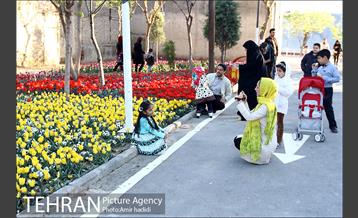 جشنواره لاله‌ها در بوستان زندگی محله هرندی 26