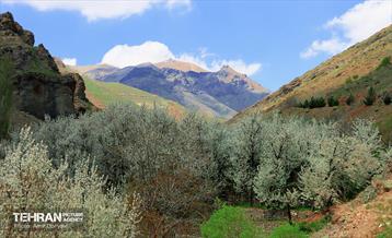 طبیعت بهاری روستای سنگان 10