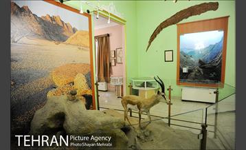 موزه حیات وحش هفت چنار 25