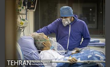 جان تو و جان شهر 12