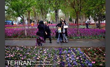 جشنواره لاله‌ها در بوستان زندگی محله هرندی 16