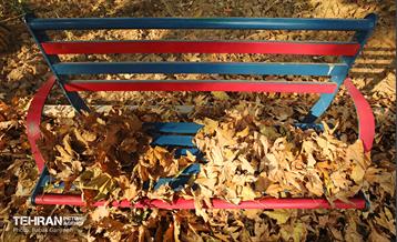 گذرگاه های پاییزی پایتخت - منطقه 13