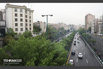 بارش باران بهاری در تهران - 1 7