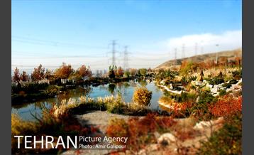 آبشار رنگارنگ 10