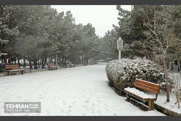 بارش برف زمستانی در منطقه ۲ 13