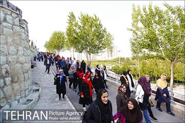 پیاده روی بزرگ خانوادگی به مناسبت هفته سلامت 14