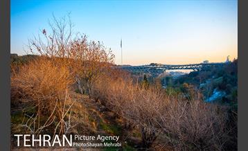 پاییز اراضی عباس آباد 30