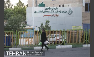 میدان شقایق‎ 6