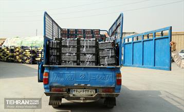 توزیع میوه شب عید قیمت تنظیم بازار در میادین و بازارهای میوه و تره‌بار 2