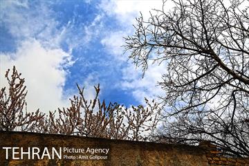 وردیج ، دنیایی از زیبایی 18