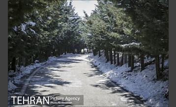 طبیعت برفی تلو 27