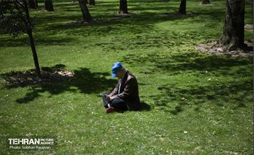 روز طبیعت در بوستان ملت 17