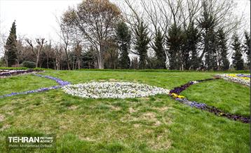 تهران بهاری