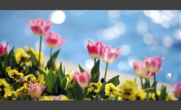 امروز طهران 1