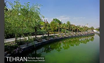 دریاچه و باغ هنر 11