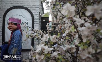 جشنواره زمستان داغ  3