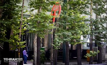 جان دوباره در درختستان 8