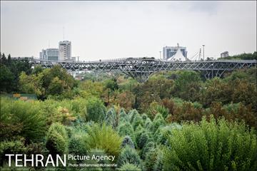 بارش باران پاییزی در تهران 6