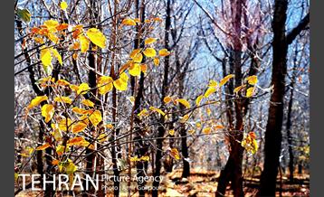 طبیعت پاییزی روستای سنگان 7