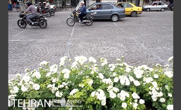 میدان بهارستان 13