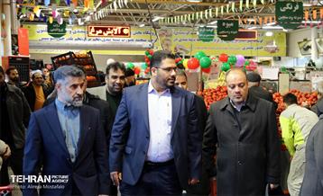 بازدید مدیرعامل سازمان تره‌وبار از میادین میوه 22
