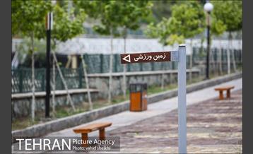 بوستان نهج البلاغه در یک روز بارانی 11