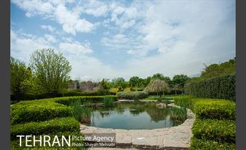 باغ گیاه‌شناسی ملی ایران 5