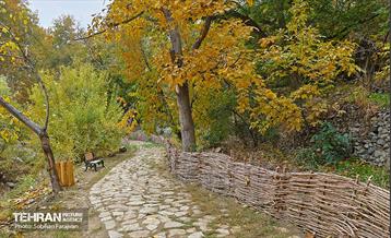 ­اکوپارک رود دره فرحزاد 15
